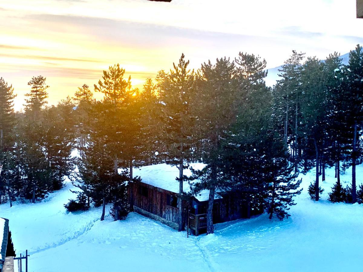 Entire Private Apartment In Pirin Golf & Country Club Bansko Dış mekan fotoğraf